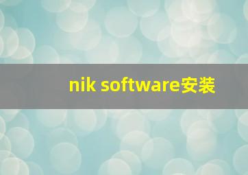 nik software安装